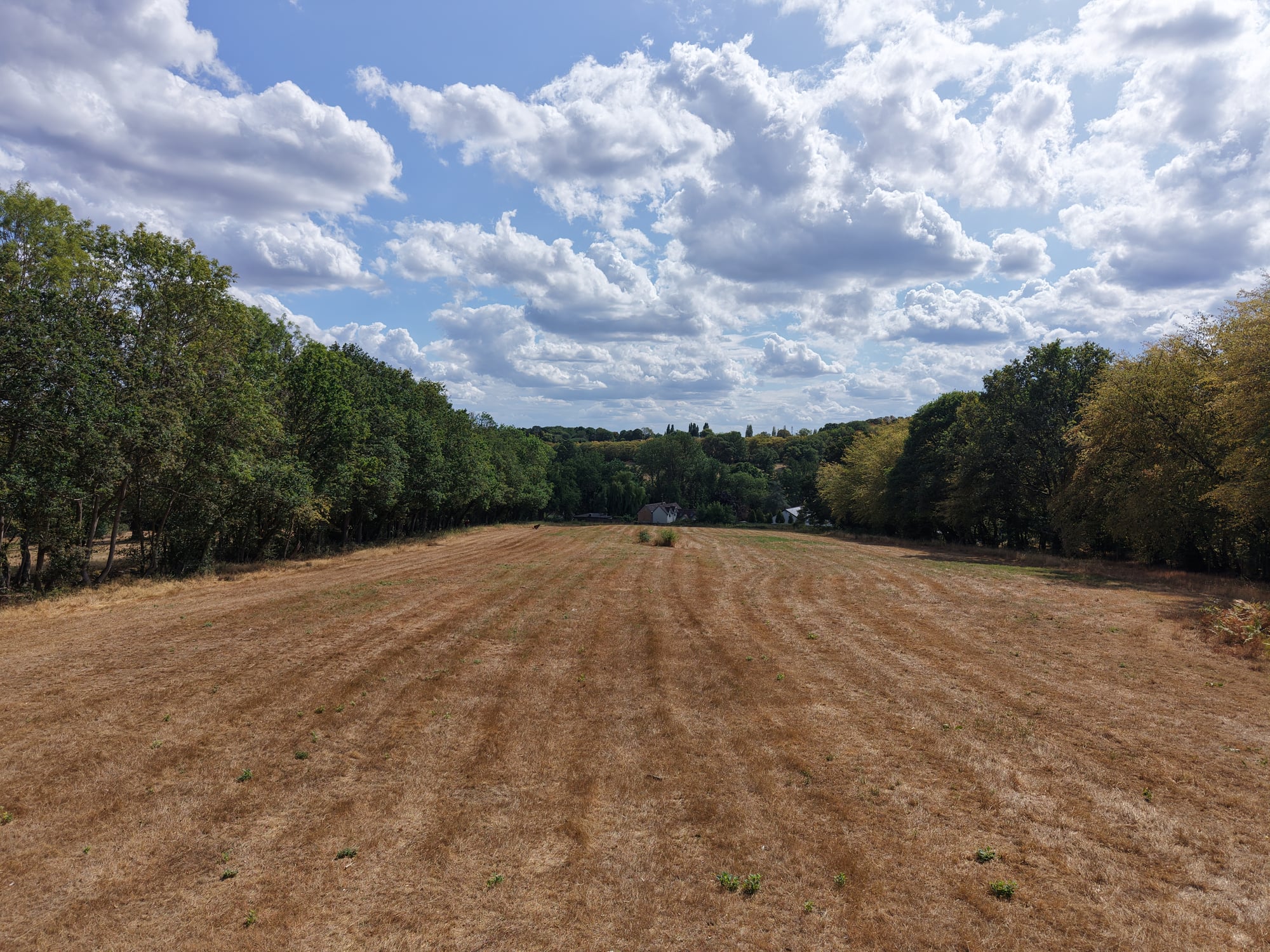 Plot 3: Land at Wormley West End