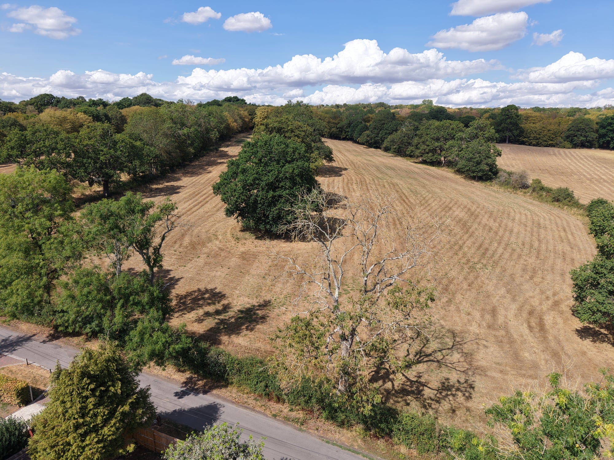 Plot 5: Land at Wormley West End
