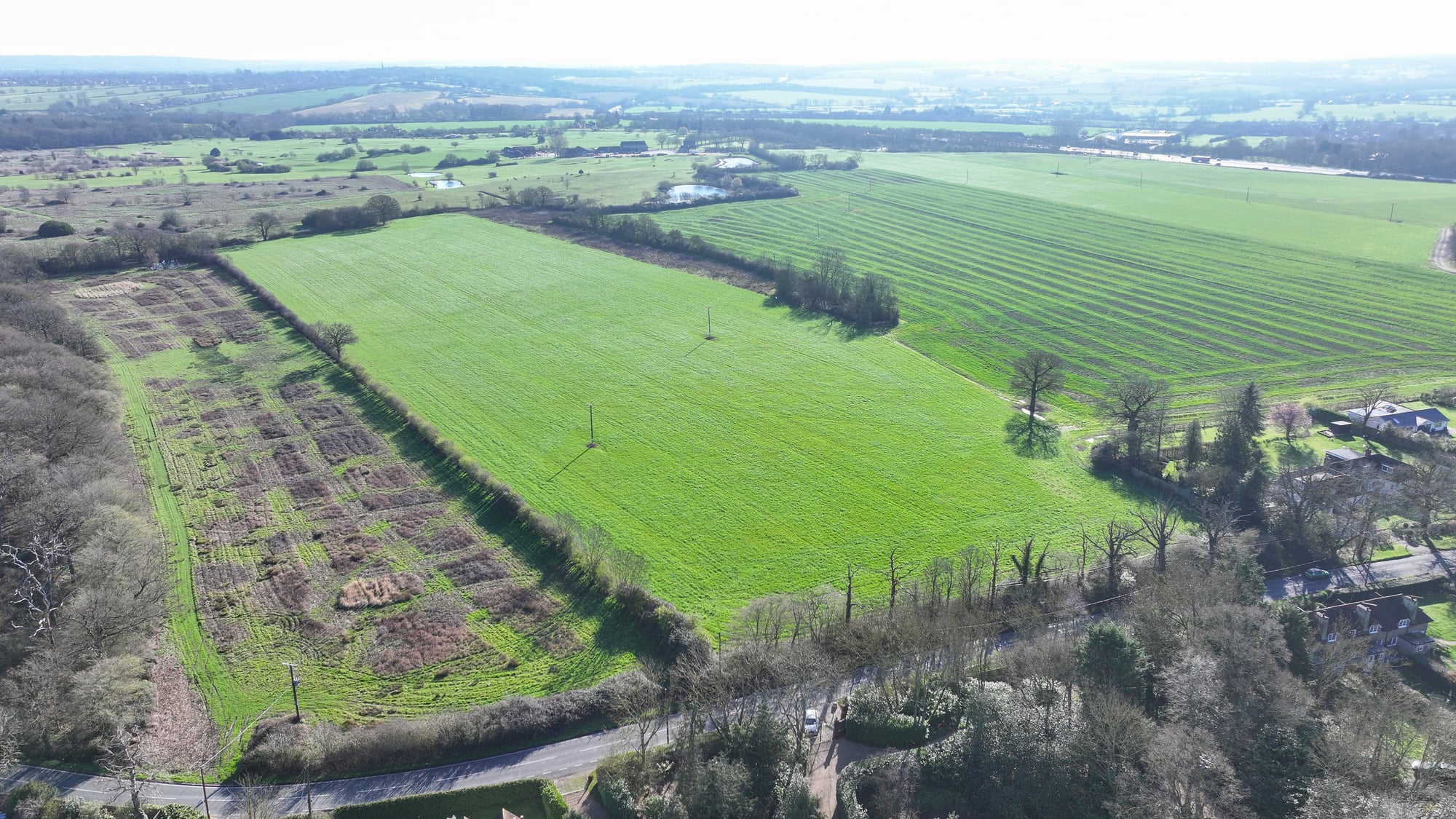 Chapel Wood: Land off Writtle Road, Margaretting