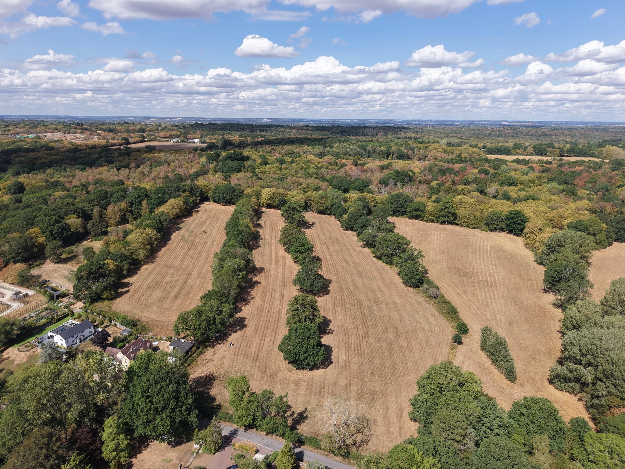 Plot 2: Land at Wormley West End